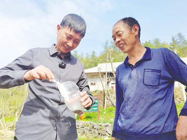 优配合伙人 33年赶虫上树&#32;让“伤心树”结满金果果