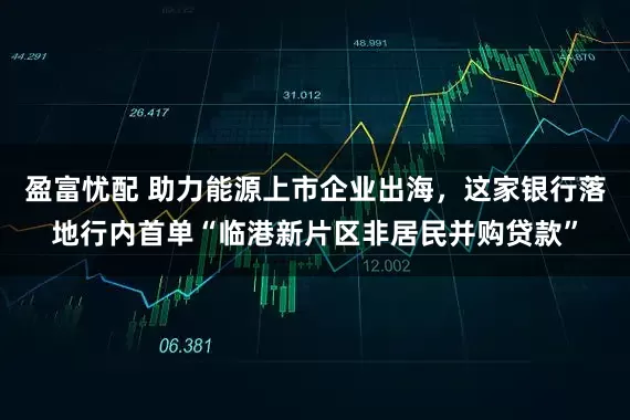 盈富忧配 助力能源上市企业出海，这家银行落地行内首单“临港新片区非居民并购贷款”