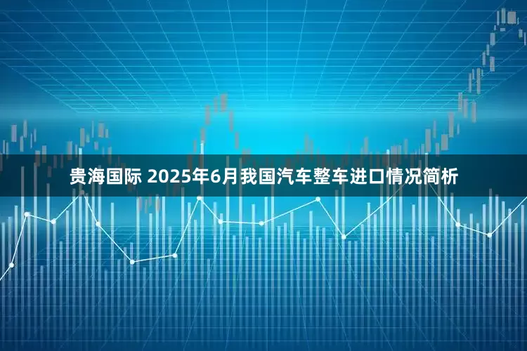 贵海国际 2025年6月我国汽车整车进口情况简析
