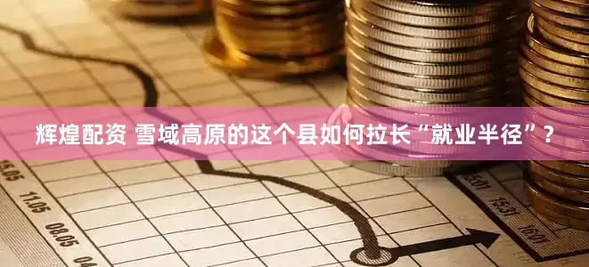 辉煌配资 雪域高原的这个县如何拉长“就业半径”？