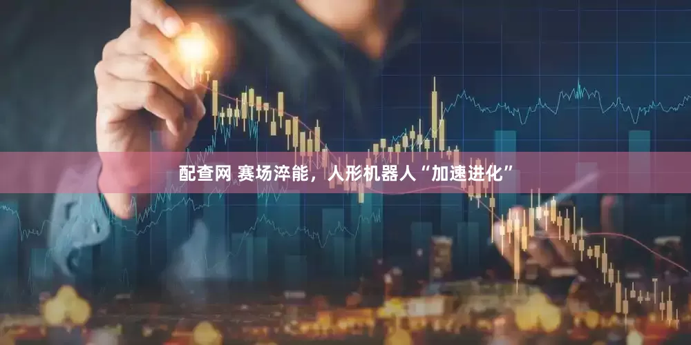 配查网 赛场淬能，人形机器人“加速进化”